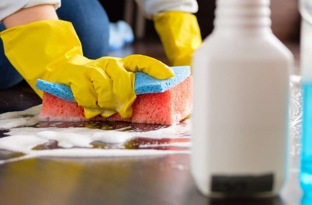 Learn about how The Sunshine Cleaners in Lutz, FL, can enhance your home or office with our professional cleaning services, ensuring spotless results.